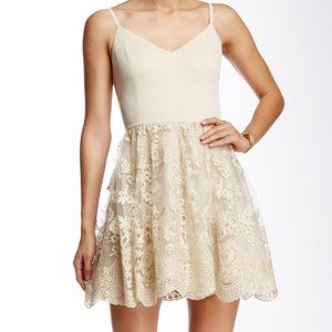 NWT Alice & Olivia | Julianne Dress (4)